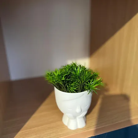 Apartment Harmony