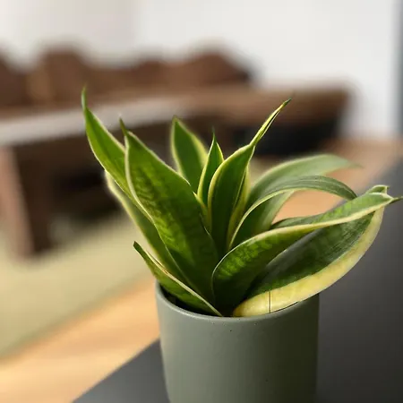 Harmony Apartment *