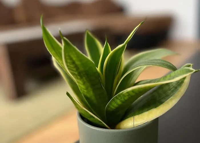 Harmony アパート *