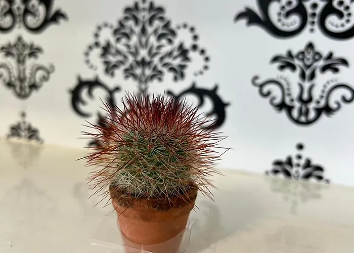 アパート Harmony *