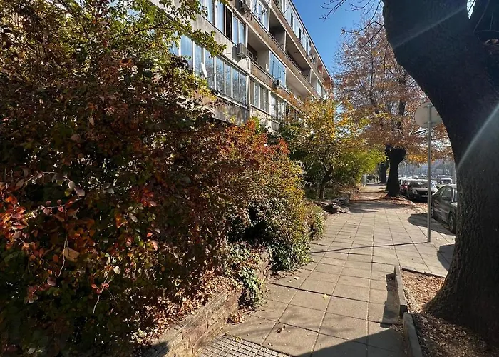 Harmony * ソフィア