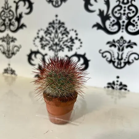 Appartement Harmony *